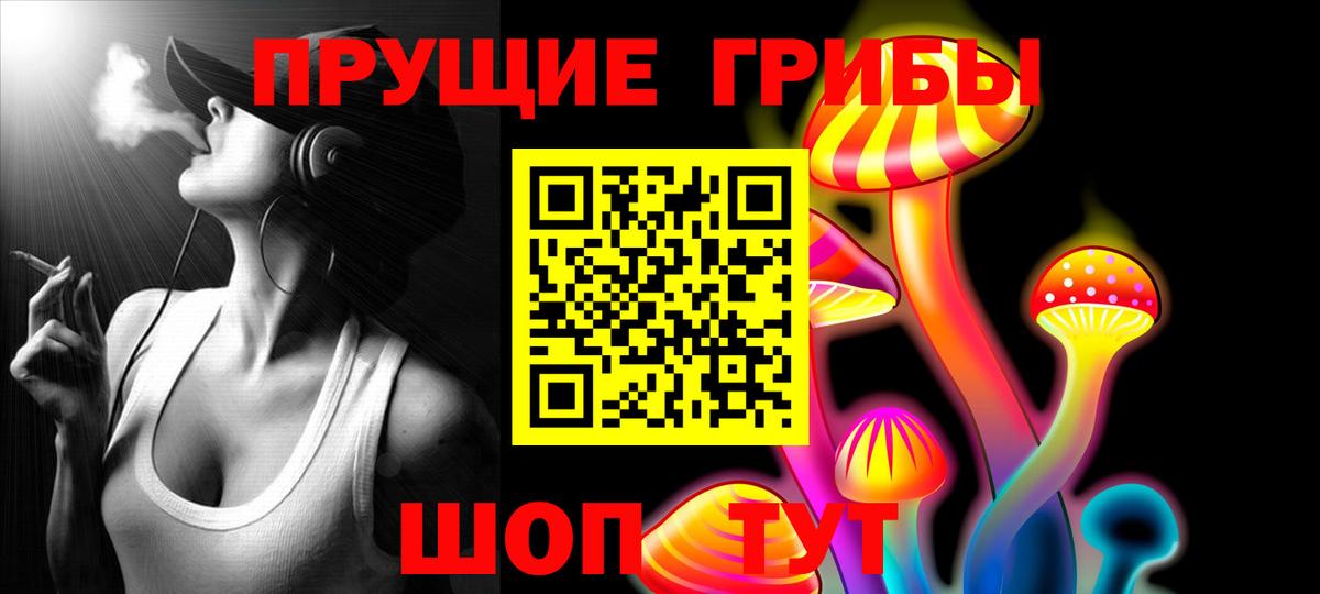 Псилоцибиновые грибы мицелий  продажа наркотиков  Кудымкар  Псилоцибиновые грибы мицелий  Вход с VPN 
