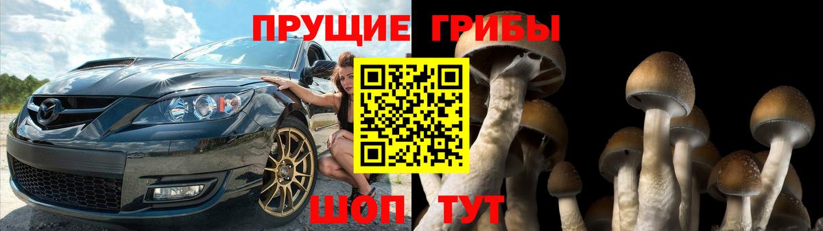 Галлюциногенные грибы прущие грибы Кудымкар